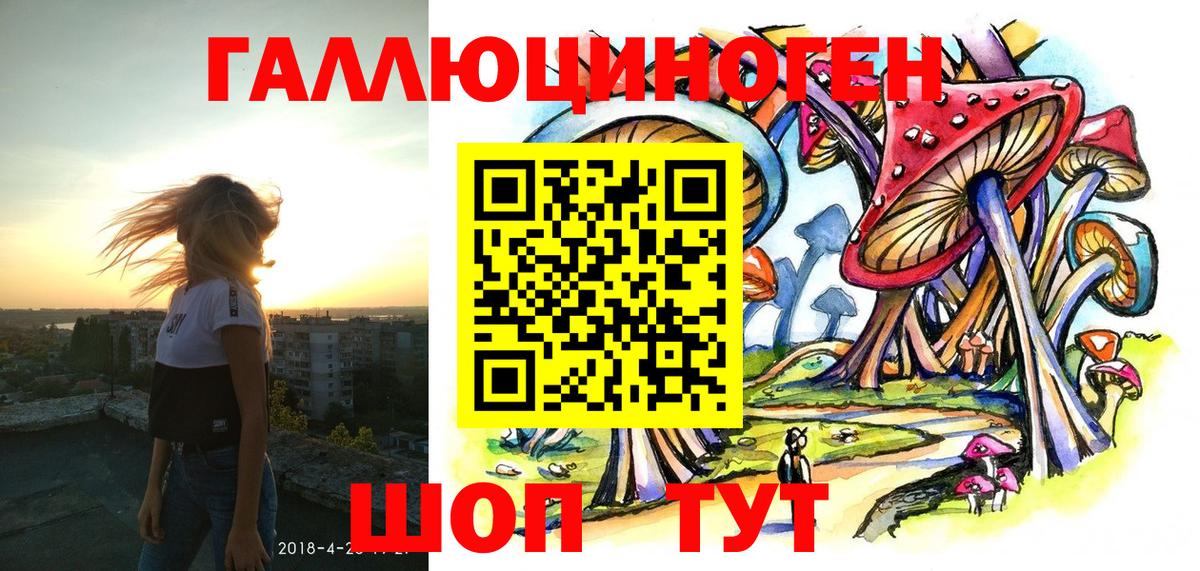 Псилоцибиновые грибы Cubensis Камышин