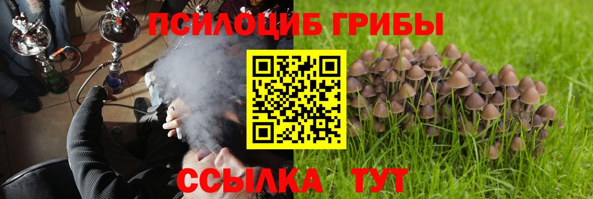 Псилоцибиновые грибы Cubensis  Псилоцибиновые грибы мухоморы  Камышин  Вход с VPN 